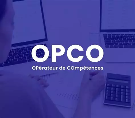OPCO : tout comprendre pour financer votre plan de formation